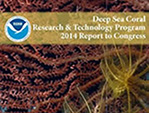 Deep-Sea Coral Research cover
