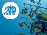 A diver working with a coral “tree” structure