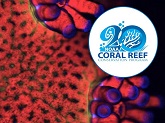 Coral polyps viewed through a laser scanning confocal microscope