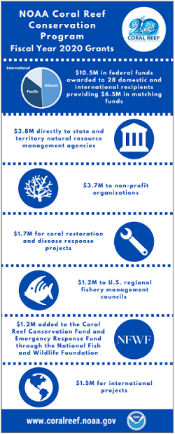 Fiscal Year 2020 Grants Infographic