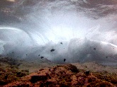 Waves build up before breaking on a deeply sloping crustose coralline algae covered reef at Swain's Island in American Samoa