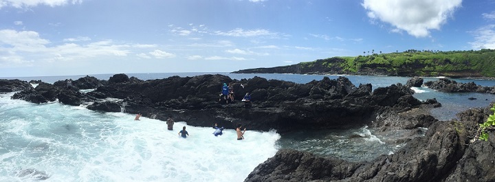 Surveyors count and size 'opihi makaiauli from the water while others record data and watch for waves