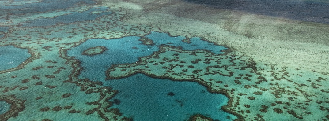 An aerial view of the Great Barrier Reef in Australia.