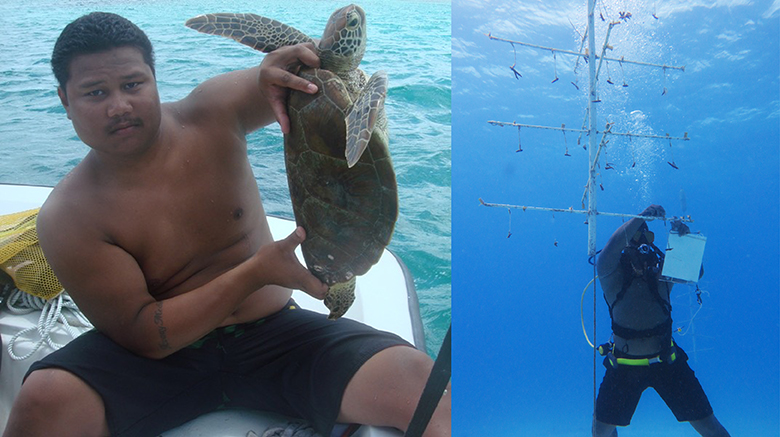 Left, a person sitting on a boat holds a sea turtle up by its shell. Right, a scuba diver tends to coral fragments hanging from an underwater nursery tree structure.