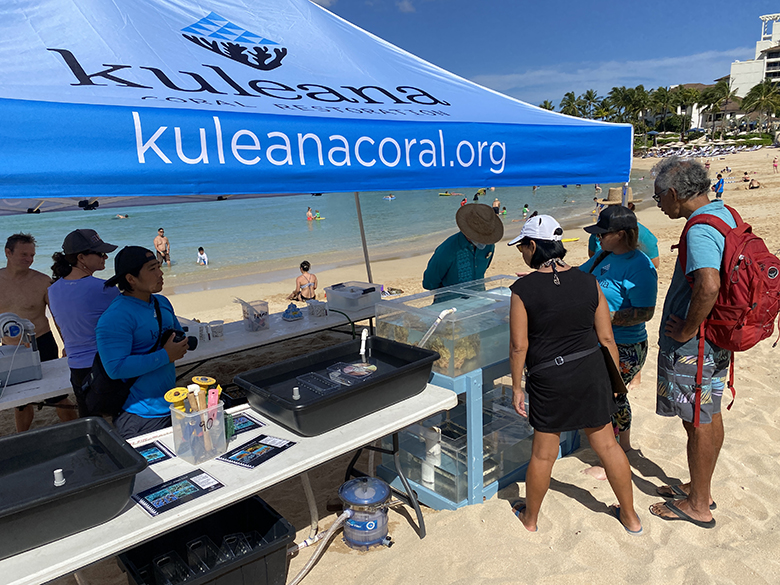 Three people peer into an aquarium tank underneath a blue pop-up tent that says kuleanacoral.org on it. The tent and tank are set up on a sandy beach during a sunny day.