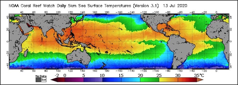 Global sea surface temperature on July 13, 2020