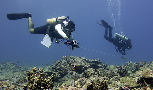 Two scuba divers hover over a reef. One scuba diver holds a camera that's focused straight down at the reef while the other diver holds on to an anchor point.