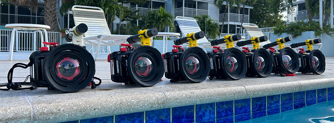 Seven black cameras lined up beside the pool