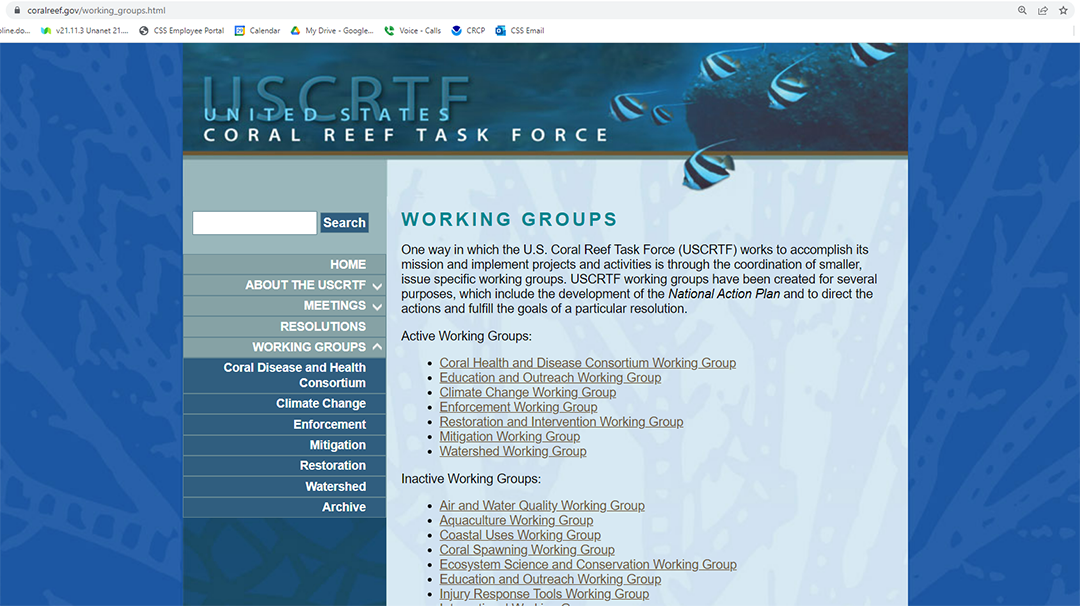 Picture of a webpage with text and links and a blue background.