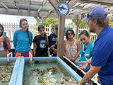  National Coral Management Fellows visited a coral nursery during their professional development training in Florida, May 2023