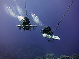 Paired tow divers Andrew Gray and Hatsue Bailey are able to conduct both reef fish surveys & benthic assessments side by side over more than 2 km each dive along nearshore reef habitats.  Credit: NOAA