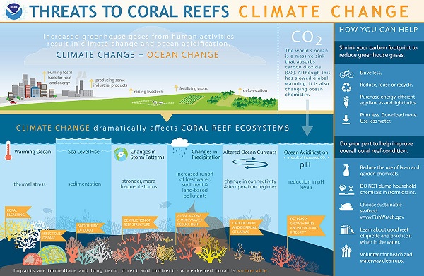 Threats to Coral Reefs: Climate Chang